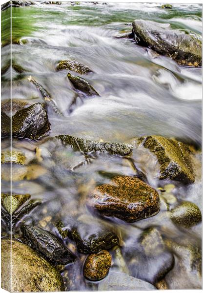  Stones in the River Tavy Canvas Print by Mark Gorton