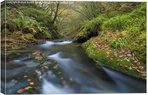  Lydford Gorge  Canvas Print by Mark Gorton