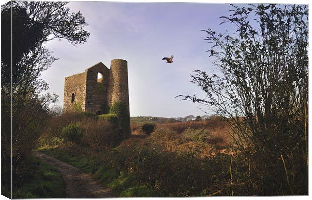 Great Flat Lode, Cornwall Canvas Print by C.C Photography