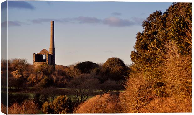 Wheal Busy Mill, Cornwall Canvas Print by C.C Photography