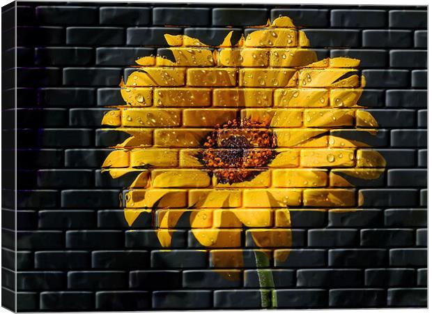 Yellow Wall Flower Canvas Print by C.C Photography