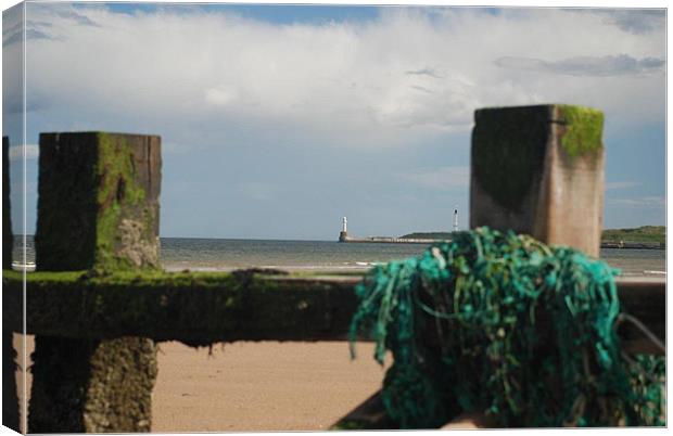 Aberdeen Beach Canvas Print by Hannah Dalgarno