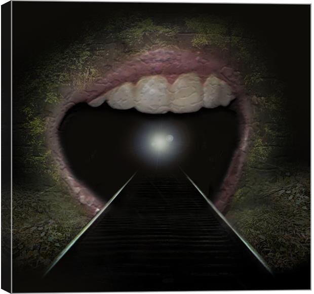 Mouth of the Tunnel Canvas Print by Steve Marriott