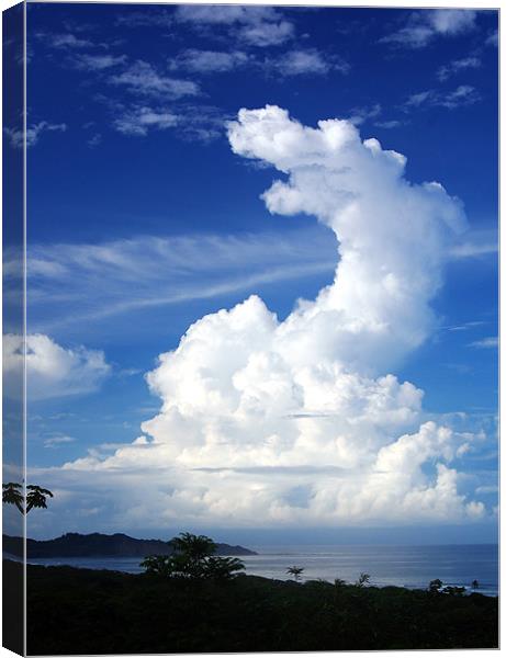 Huge Thunderhead Off Garza Canvas Print by james balzano, jr.