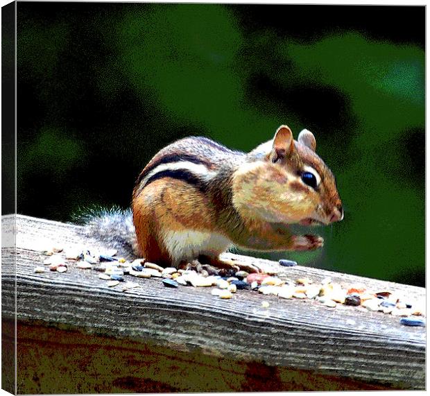 Chipmonk Dinning Canvas Print by james balzano, jr.