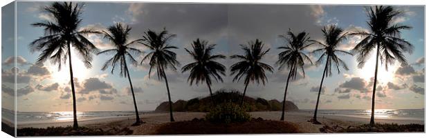 Panoramic Palms Canvas Print by james balzano, jr.