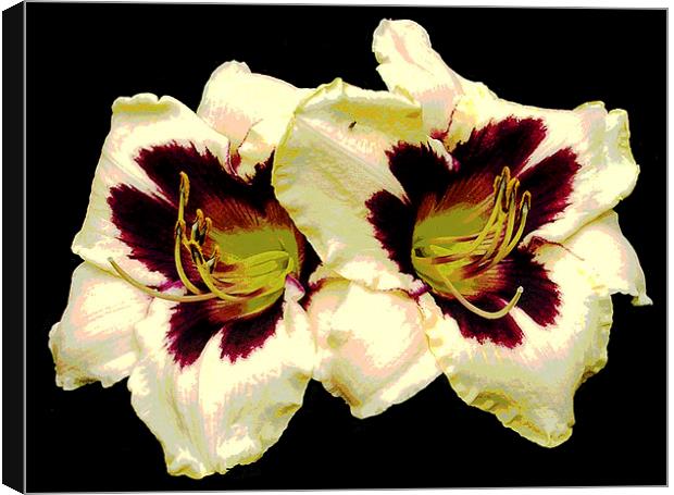 Two Lillies Canvas Print by james balzano, jr.