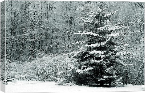 Winter Scene Tritone Canvas Print by james balzano, jr.