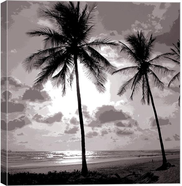 Duotone of Palm Trees Canvas Print by james balzano, jr.
