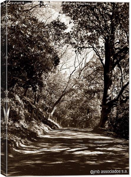Tritone of Along the Dusty Road Canvas Print by james balzano, jr.