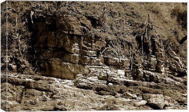  Rock Formation Tritone Canvas Print by james balzano, jr.