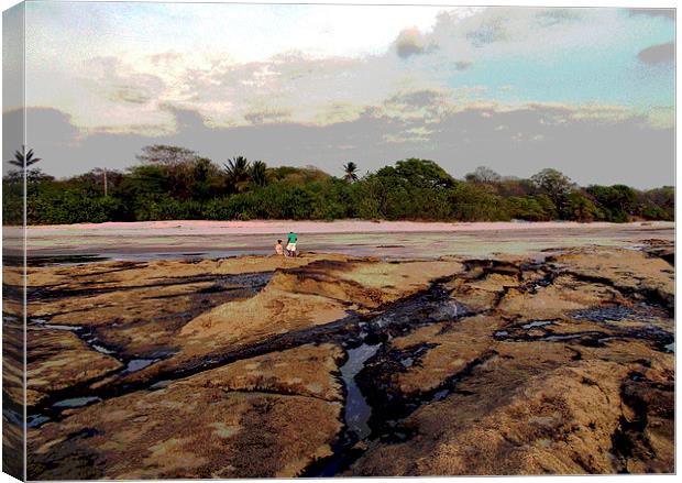 Exposed Rocks at Low Tide  Canvas Print by james balzano, jr.