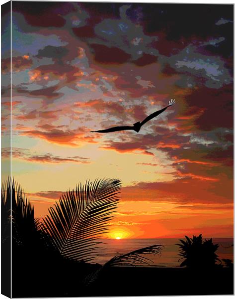 Colorful Sunset with Bird  Canvas Print by james balzano, jr.