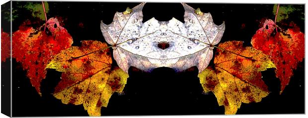  Leaves Afloat Canvas Print by james balzano, jr.