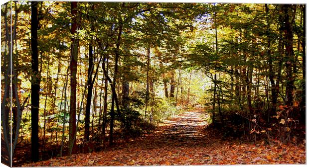 Oil Painting of Our Driveway  Canvas Print by james balzano, jr.