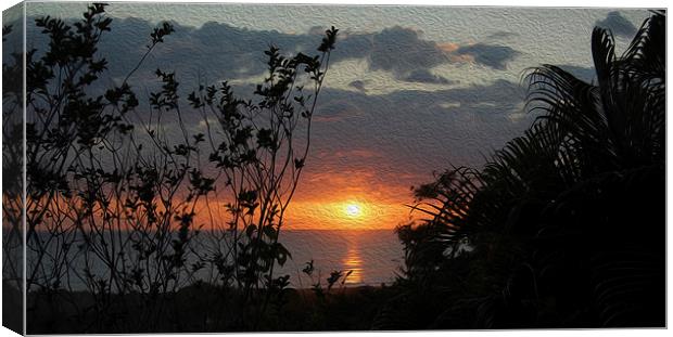  Oil Painted Sunset Canvas Print by james balzano, jr.