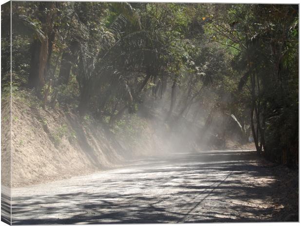 Dust Along the Road Canvas Print by james balzano, jr.