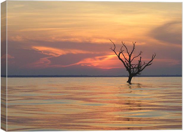 Lake Maracaibou Sunset Canvas Print by tim bowron