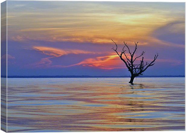 Lake Maracaibou Sunset, Venezuela Canvas Print by tim bowron
