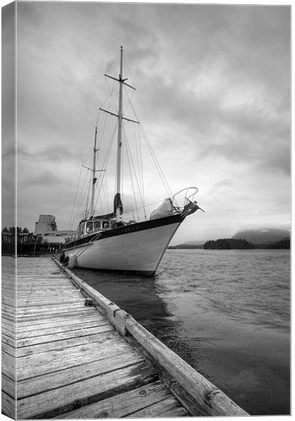 Sailboat Canvas Print by Andrew Pelvin
