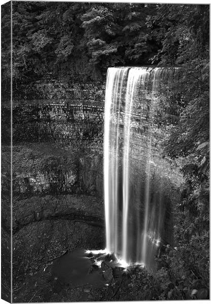 Waterfall Canvas Print by Andrew Pelvin