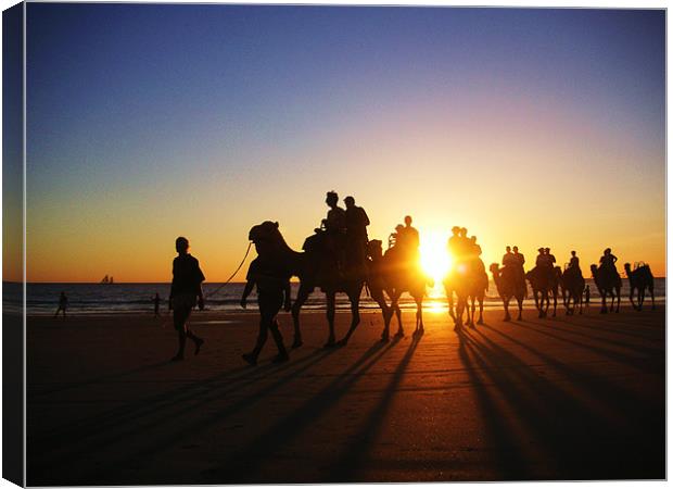 Desert meets sea meets camels Canvas Print by dave bownds