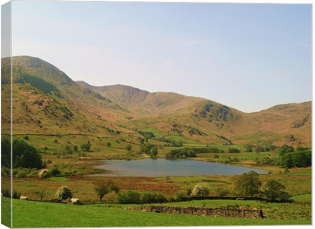 Views from a day in The Lake District. Canvas Print by charlie Mellow