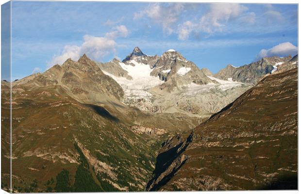 view from The Swiss  Alps Canvas Print by charlie Mellow