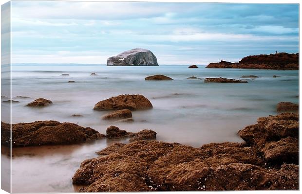 Bass Rock Canvas Print by Aj’s Images