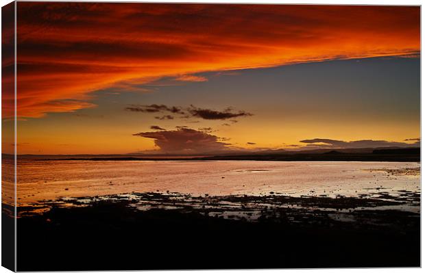 Orange Delight At Shellbay, Scotland. Canvas Print by Aj’s Images
