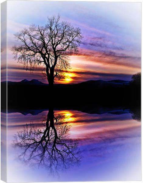 The Tree Of Reflections Canvas Print by Aj’s Images
