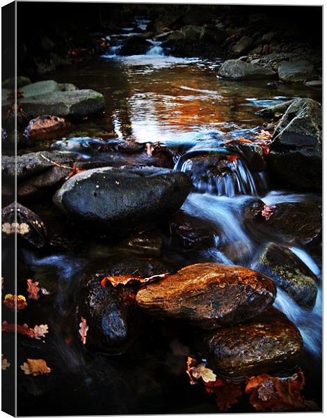 Dream A Little Stream With Me #1 Canvas Print by Aj’s Images