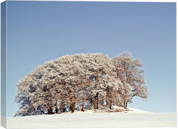 A Scottish Snow Scene Canvas Print by Aj’s Images