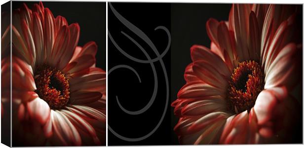 Floral Red Head Diptych Canvas Print by Aj’s Images