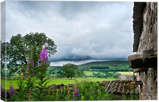 Barn with a view Canvas Print by Stephen Mole