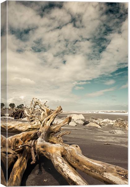 Hokitika Beach Canvas Print by Stephen Mole