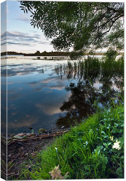 Reflecting over Lake of Menteith Canvas Print by Stephen Mole