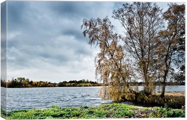 Rushmere Broad Canvas Print by Stephen Mole