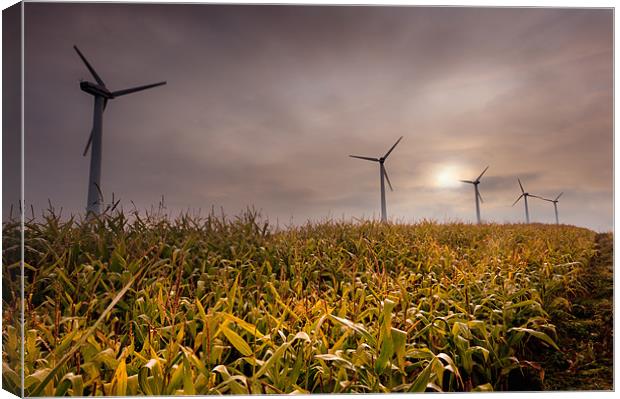 Turbines in a maize field Canvas Print by Stephen Mole