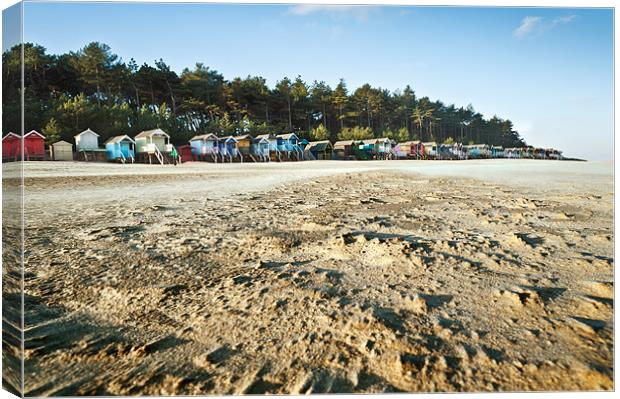 Windswept Beach Huts Canvas Print by Stephen Mole