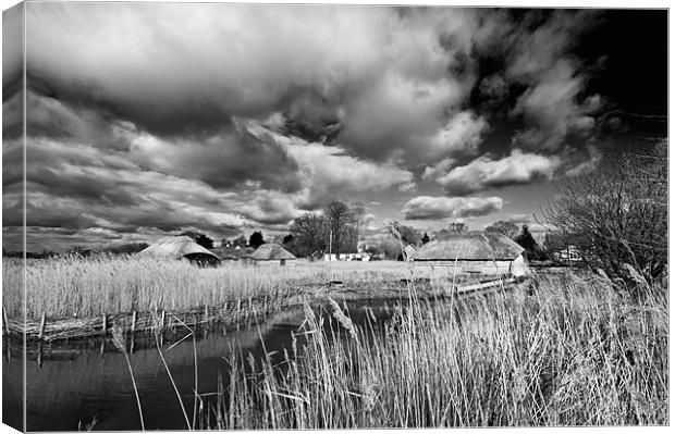 Reeds and Thatch at Hickling Canvas Print by Stephen Mole