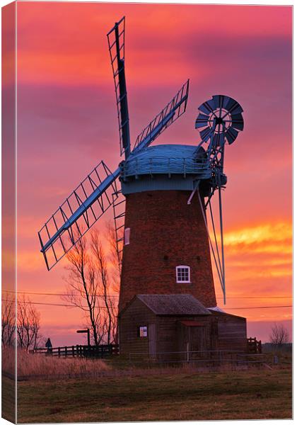 Horsey sunrise Canvas Print by Stephen Mole