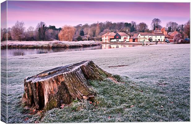 Tree Stump at dawn Canvas Print by Stephen Mole