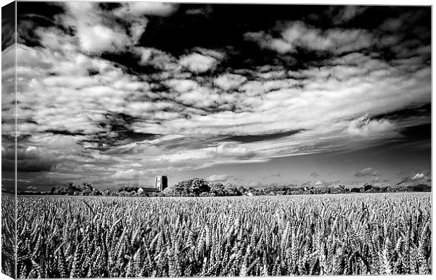 Church in field of Wheat Canvas Print by Stephen Mole