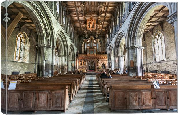 St Davids Cathedral Canvas Print by Stephen Mole