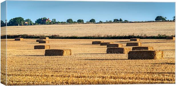 Square bales of Straw Canvas Print by Stephen Mole