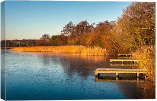 Fishing Jetties at Rollesby Canvas Print by Stephen Mole