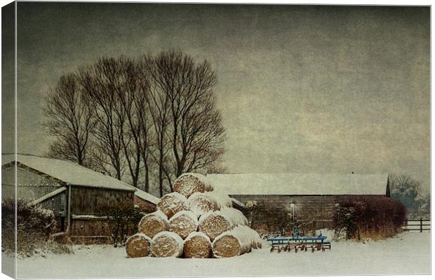 Hay bales in the snow Canvas Print by Stephen Mole