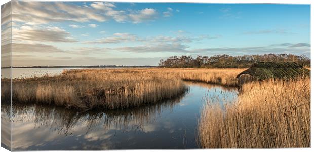 Hickling Broad Canvas Print by Stephen Mole