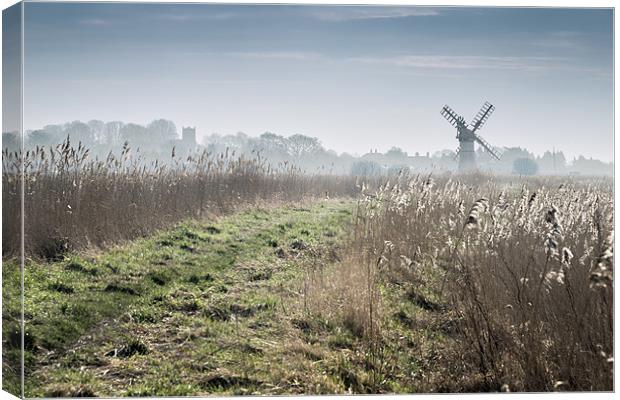 Thurne Mill ahead Canvas Print by Stephen Mole